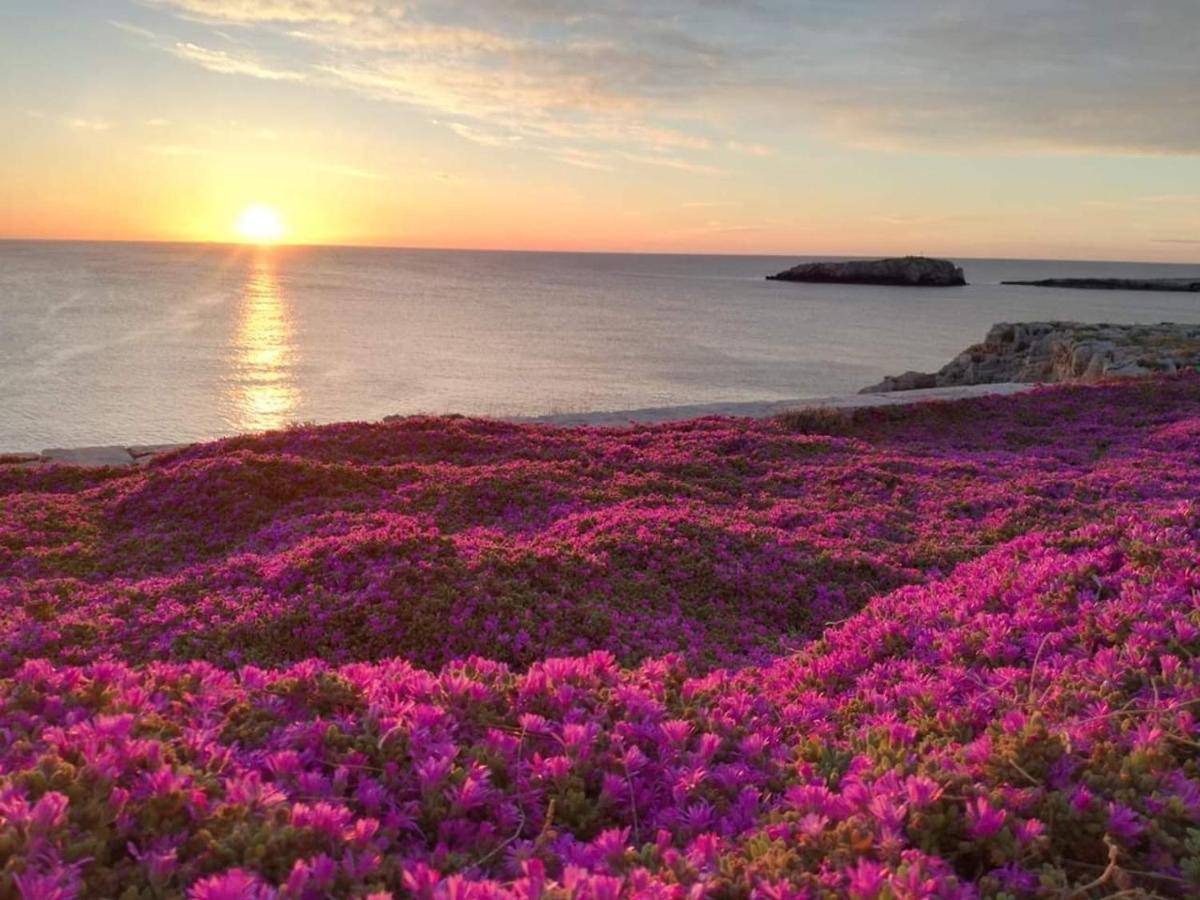 Manfredi Home Polignano a Mare Exteriér fotografie